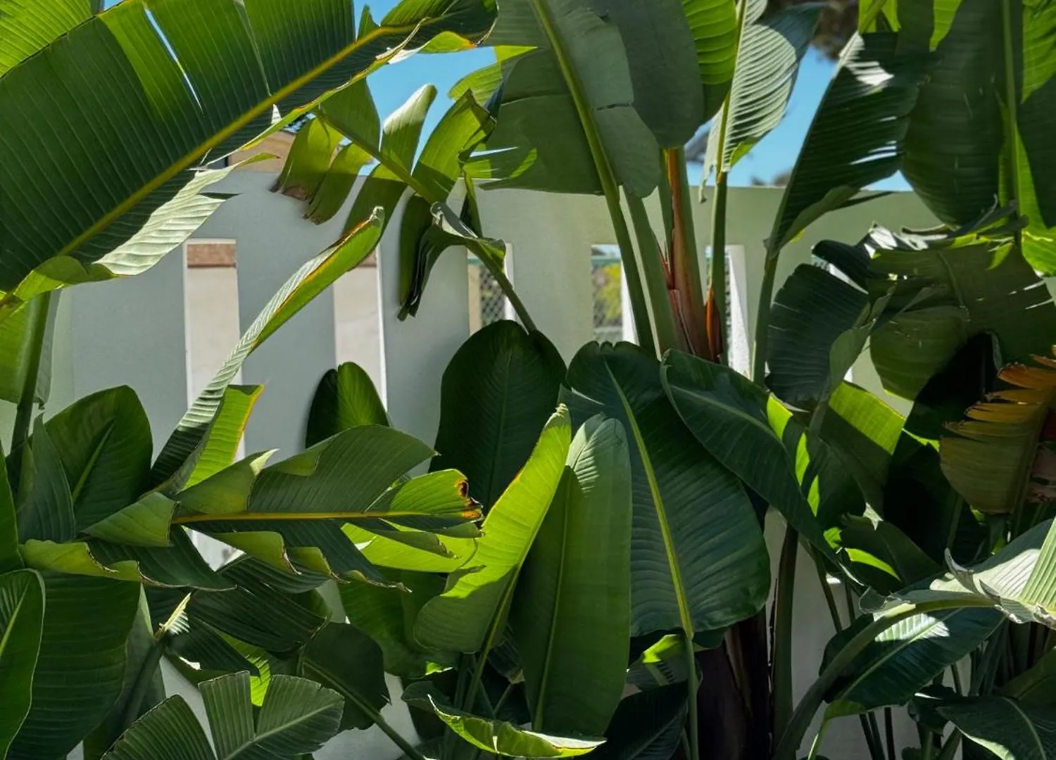 Family Holiday Bliss In Marbella- Brand-New 4 Bedroom Villa With Garden, Private Pool & Jacuzzi, Marbesa 500 M To The Beautiful Cabopino Beach 0*, Marbella Spain