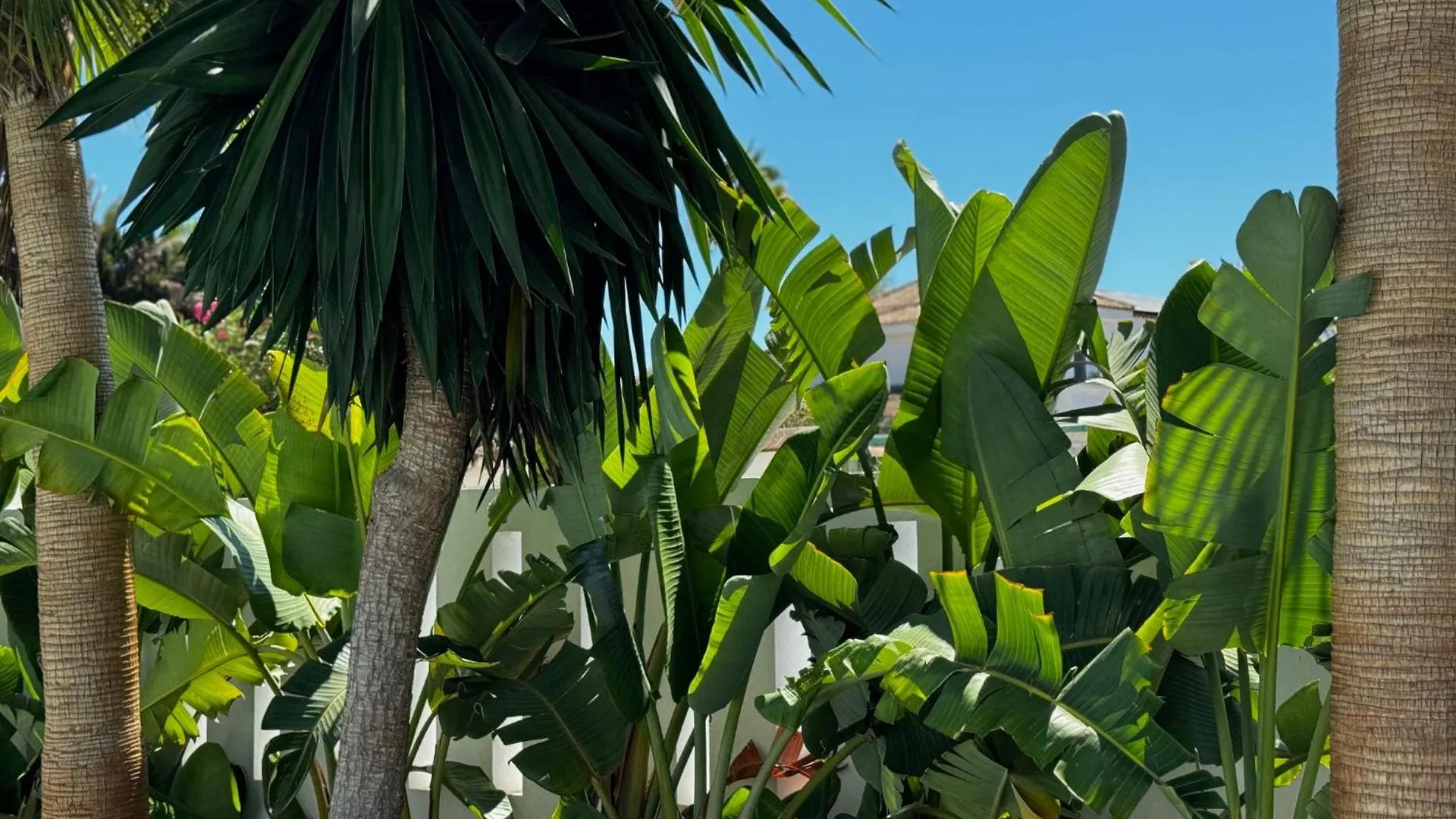 Family Holiday Bliss In Marbella- Brand-New 4 Bedroom Villa With Garden, Private Pool & Jacuzzi, Marbesa 500 M To The Beautiful Cabopino Beach Spain